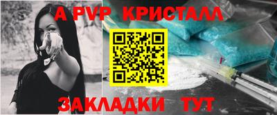 стафф Шелехов