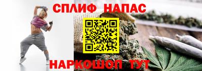 стафф Шебекино