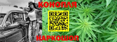 стафф Шелехов