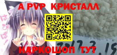 стафф Шебекино