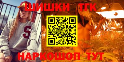 стафф Шелехов