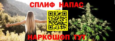 стафф Шебекино