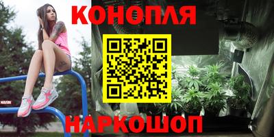 стафф Шелехов