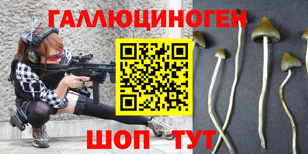Псилоцибиновые грибы Magic Shrooms  Вход с VPN  Псилоцибиновые грибы Psilocybe  Чернушка 